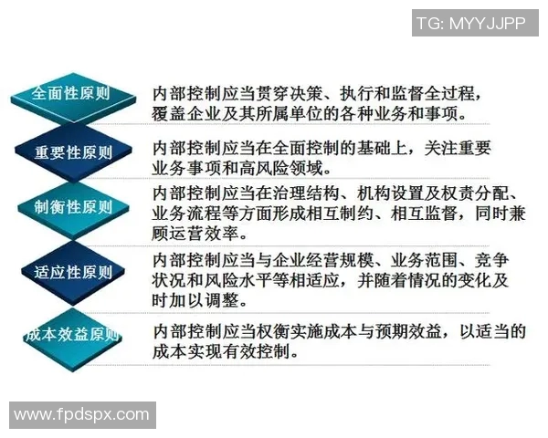 杭州排球队意识提升之路:从团队协作到战术创新的全面探讨 杭州排球队意识提升之路:从团队协作到战术创新的全面探讨