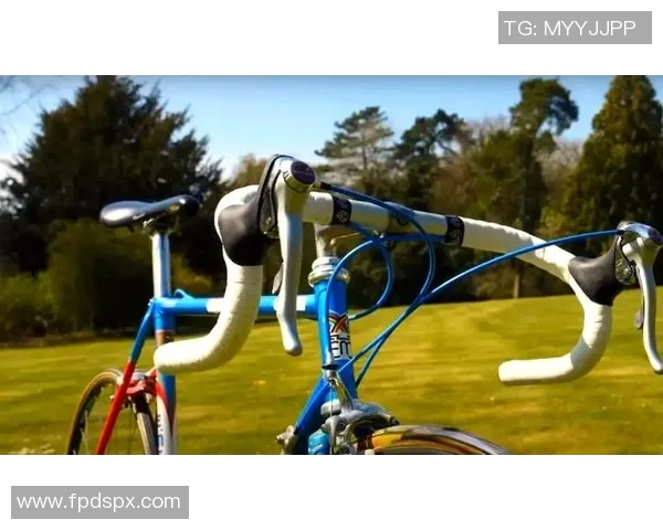 杭州排球队整体压制革新之路探秘与未来展望