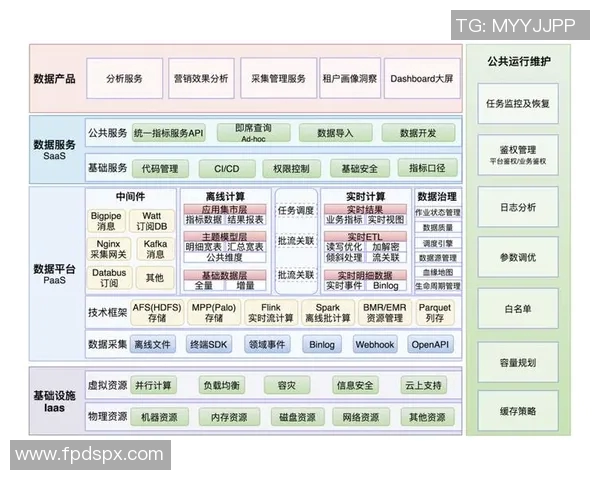 杭州排球队的转换体系探究与战术创新分析