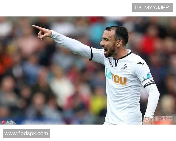 查尔顿对斯旺西精彩直播全程回顾与赛后分析